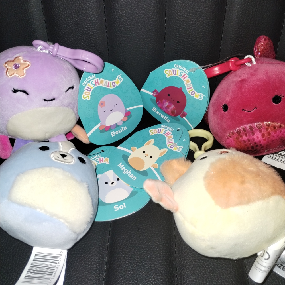 Squishmallows Plush Keychains Set